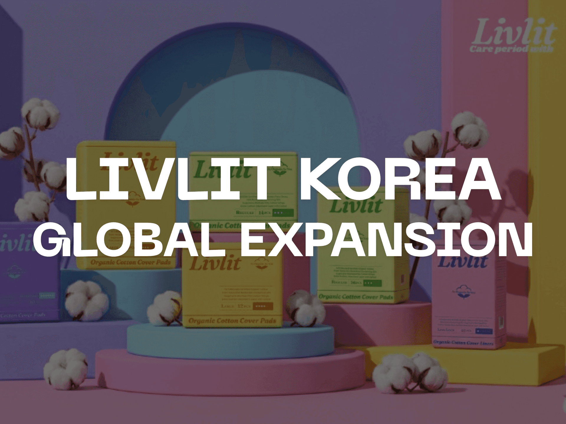 LIVLIT: Global License Expansion & the Livlit KR Project